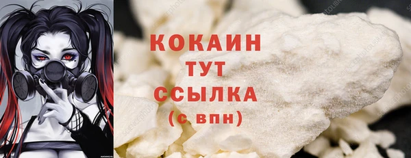 винт Няндома