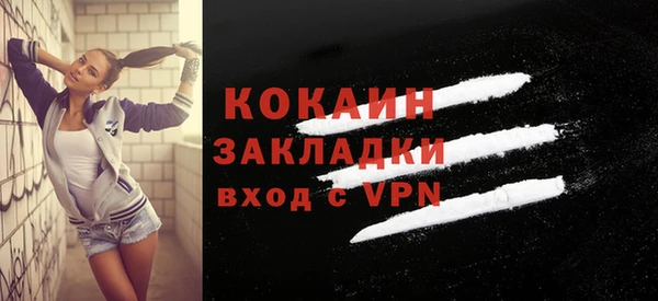 винт Няндома