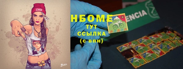 винт Няндома