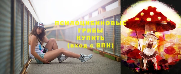 эйфоретик Осинники