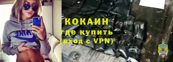 винт Няндома