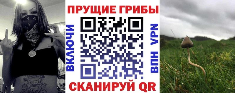 купить наркоту Богучар Псилоцибиновые грибы мухоморы